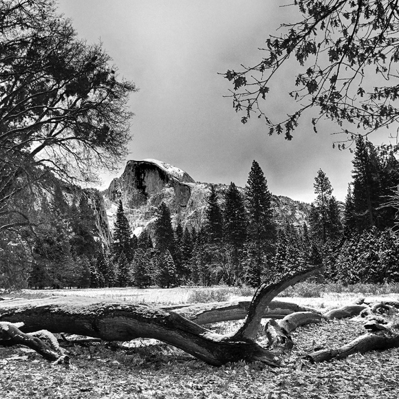 Meet your Posher, Mellissa - Picture 3 of 8